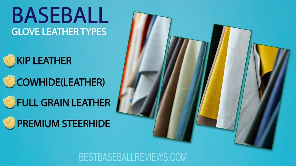 What is Kip leather Baseball Glove Leather Types