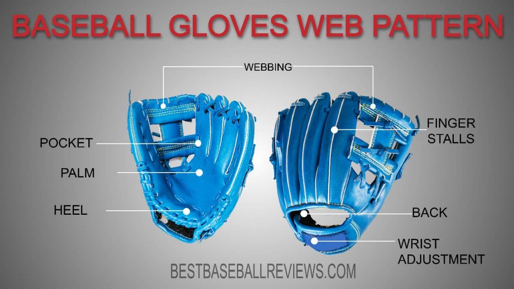 How to Size a Baseball Glove identified