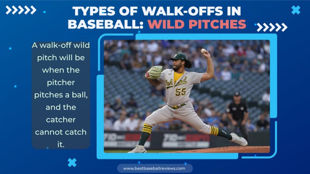 A Walk-Off In Baseball _ Wild Pitch