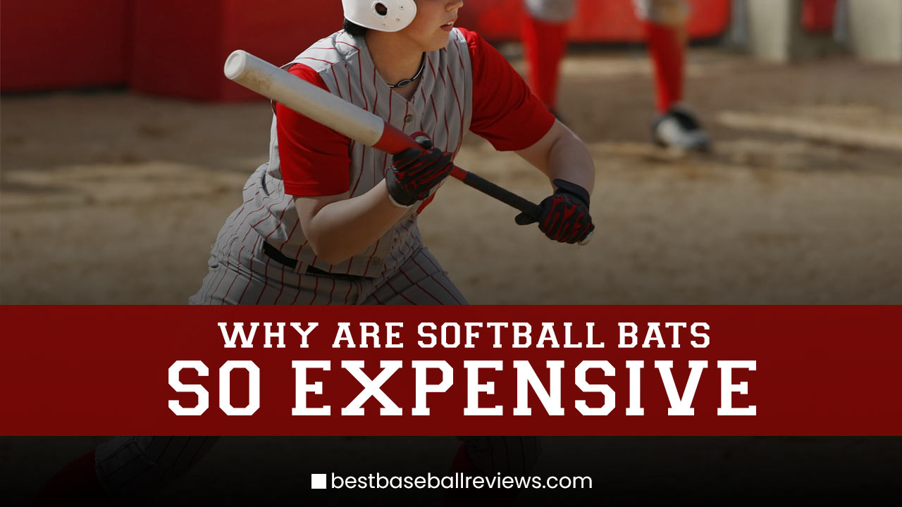 Why Are Softball Bats So Expensive